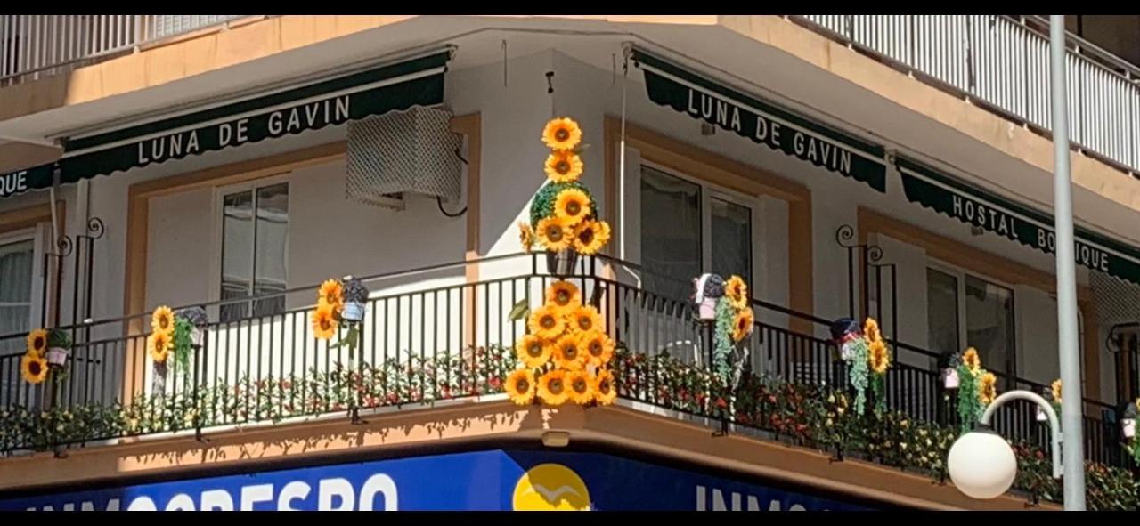 Hostal Boutique Luna De Gavin Cullera Exterior photo